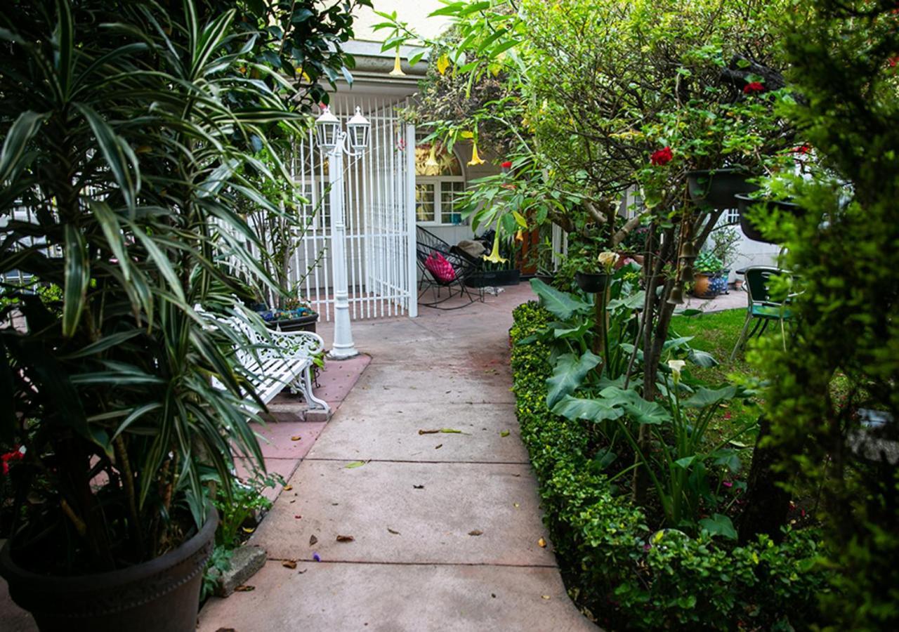 Casa San Pedro Bed and Breakfast Città del Messico Esterno foto
